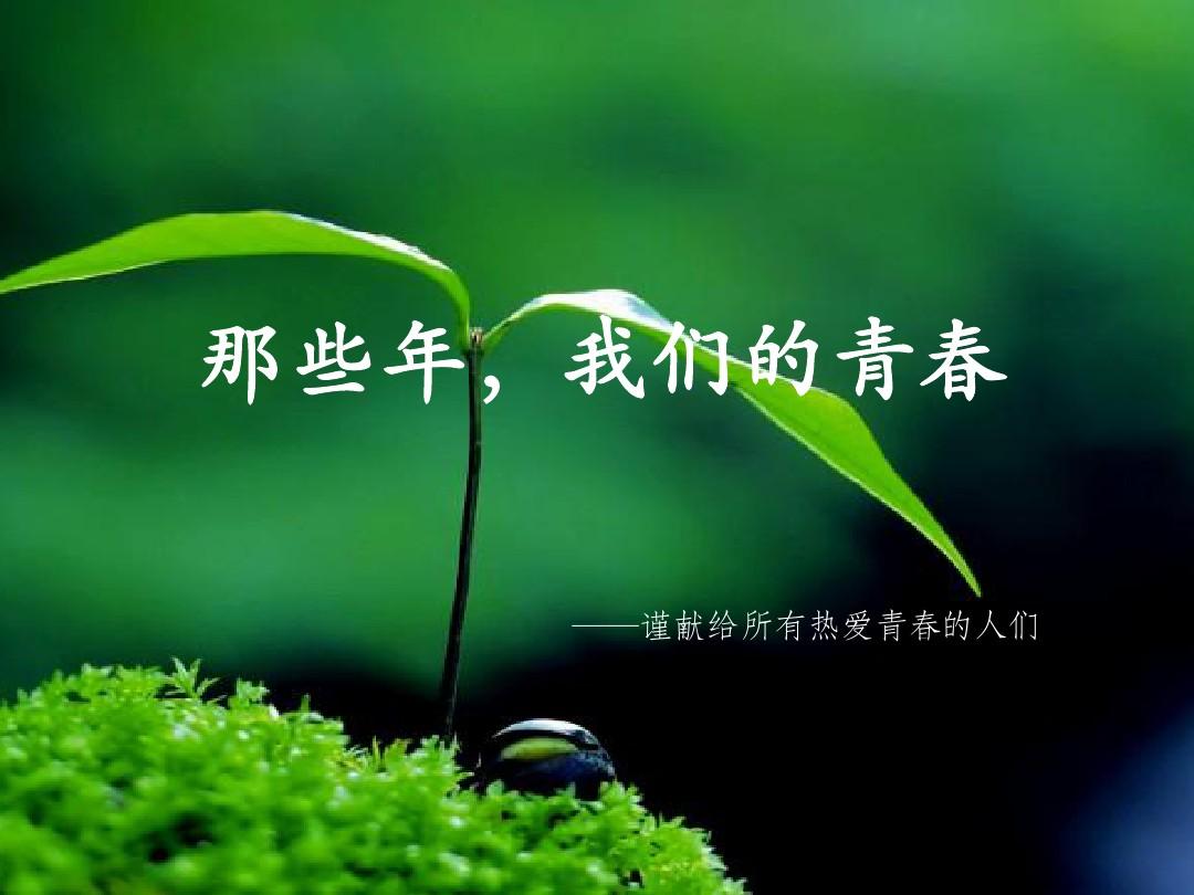 青春那些年,我们干过的蠢事