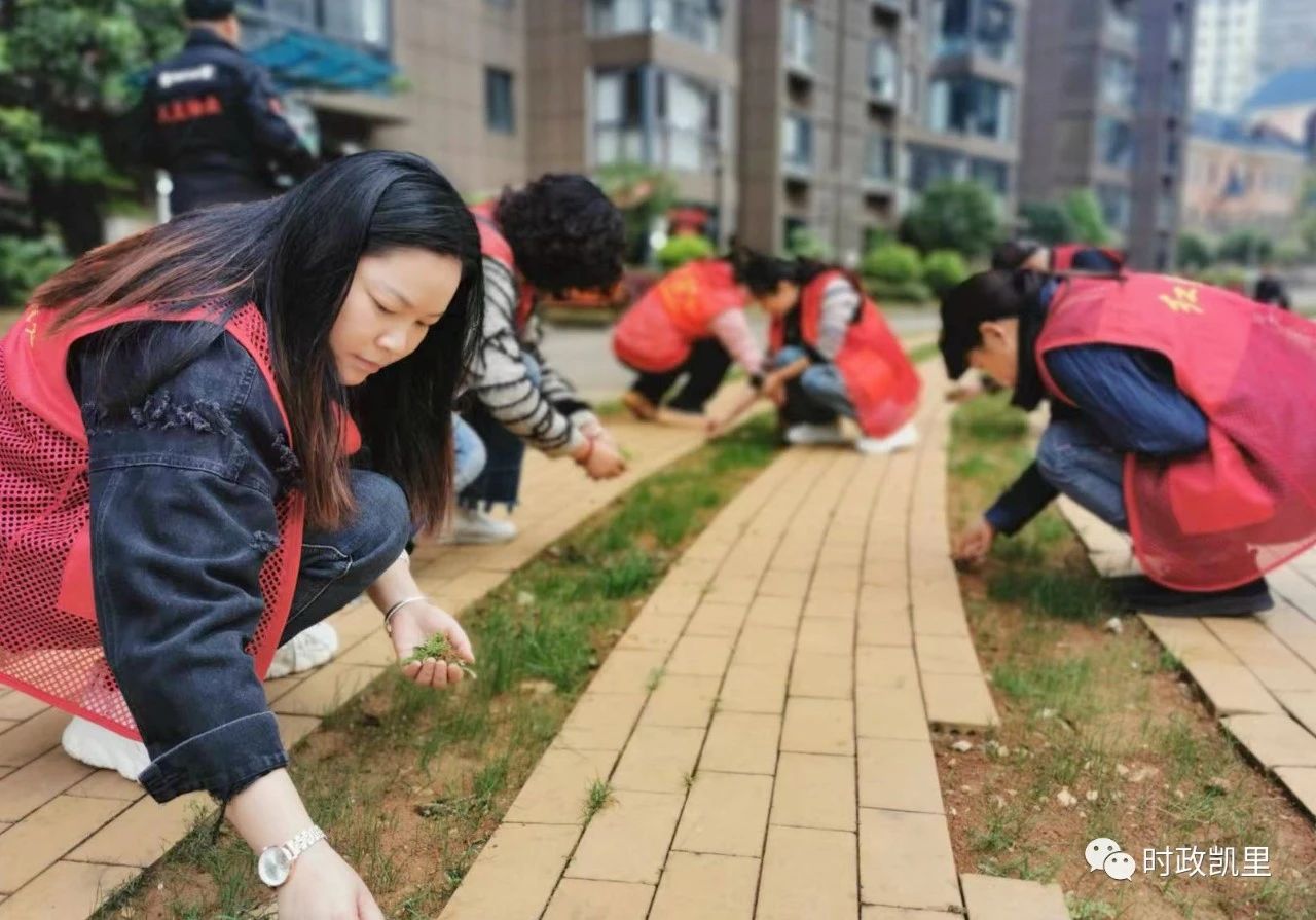 凱里市大十字街道:政企聯動共建和美小區|和美城鄉 四大行動