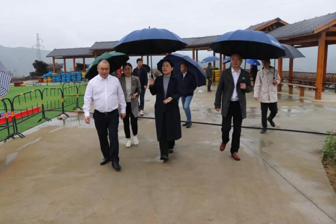 泰顺县委常委,组织部长周碧素率队赴仕阳镇调研矿坑冰城项目