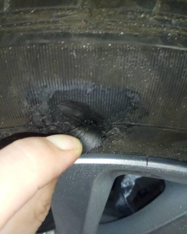 轮胎侧面帘线层的样子