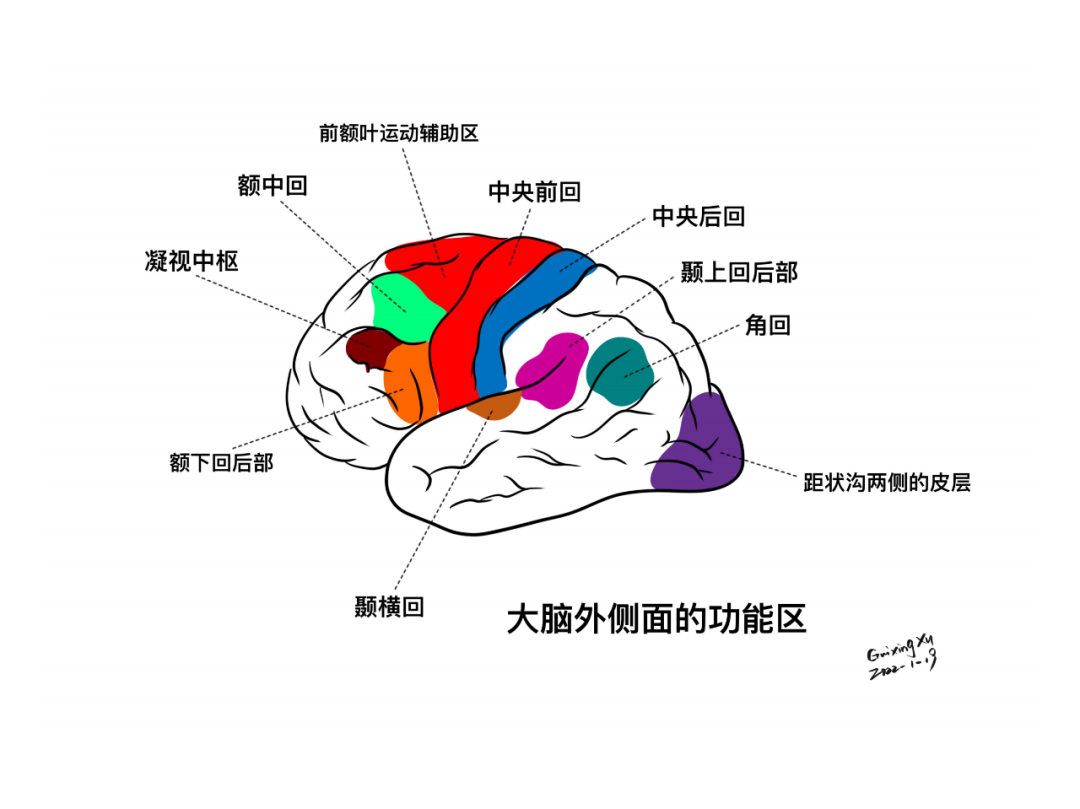 徐桂兴手绘