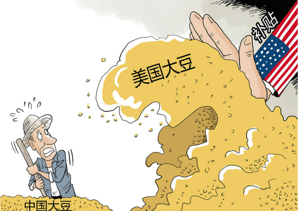 中,美粮食战争:14亿人饭碗被卡脖子,国产种子怎么扭转乾坤?