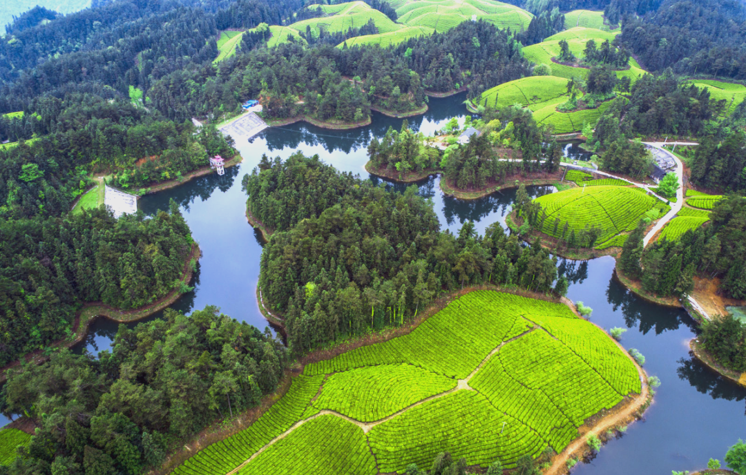 探秘恩施:世界硒都的独特魅力与健康奥秘