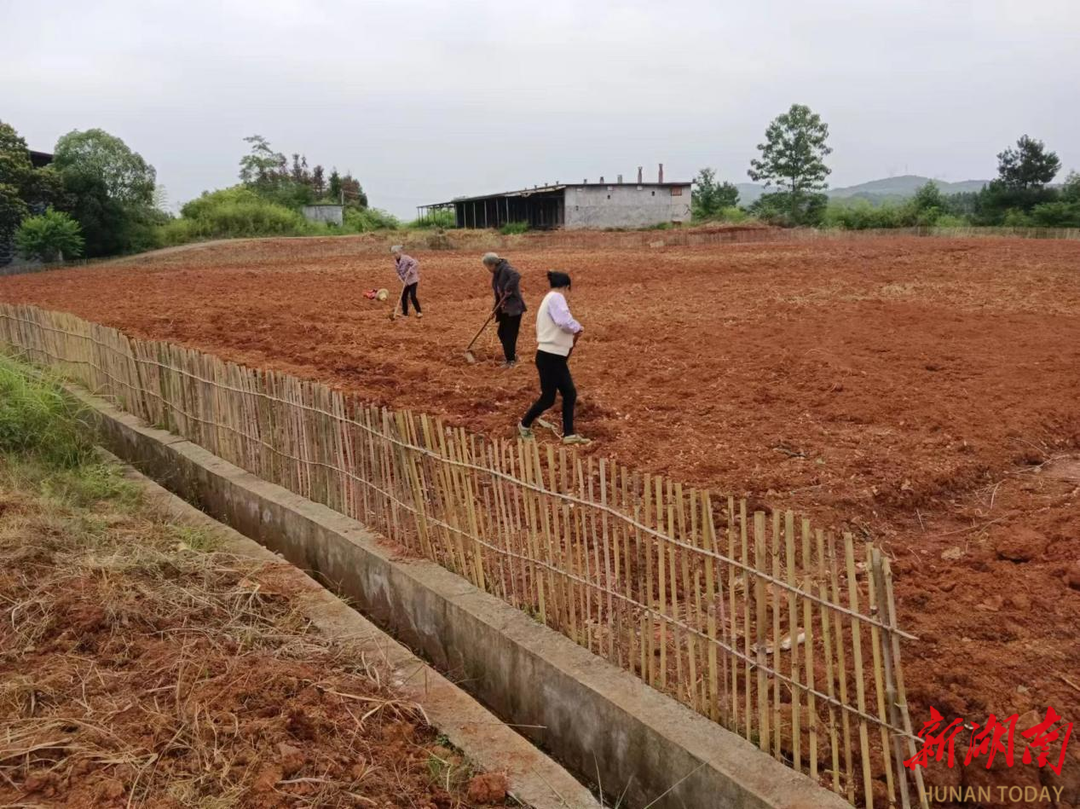 安仁县华王乡从"四小园"建设切入 打造美丽乡村