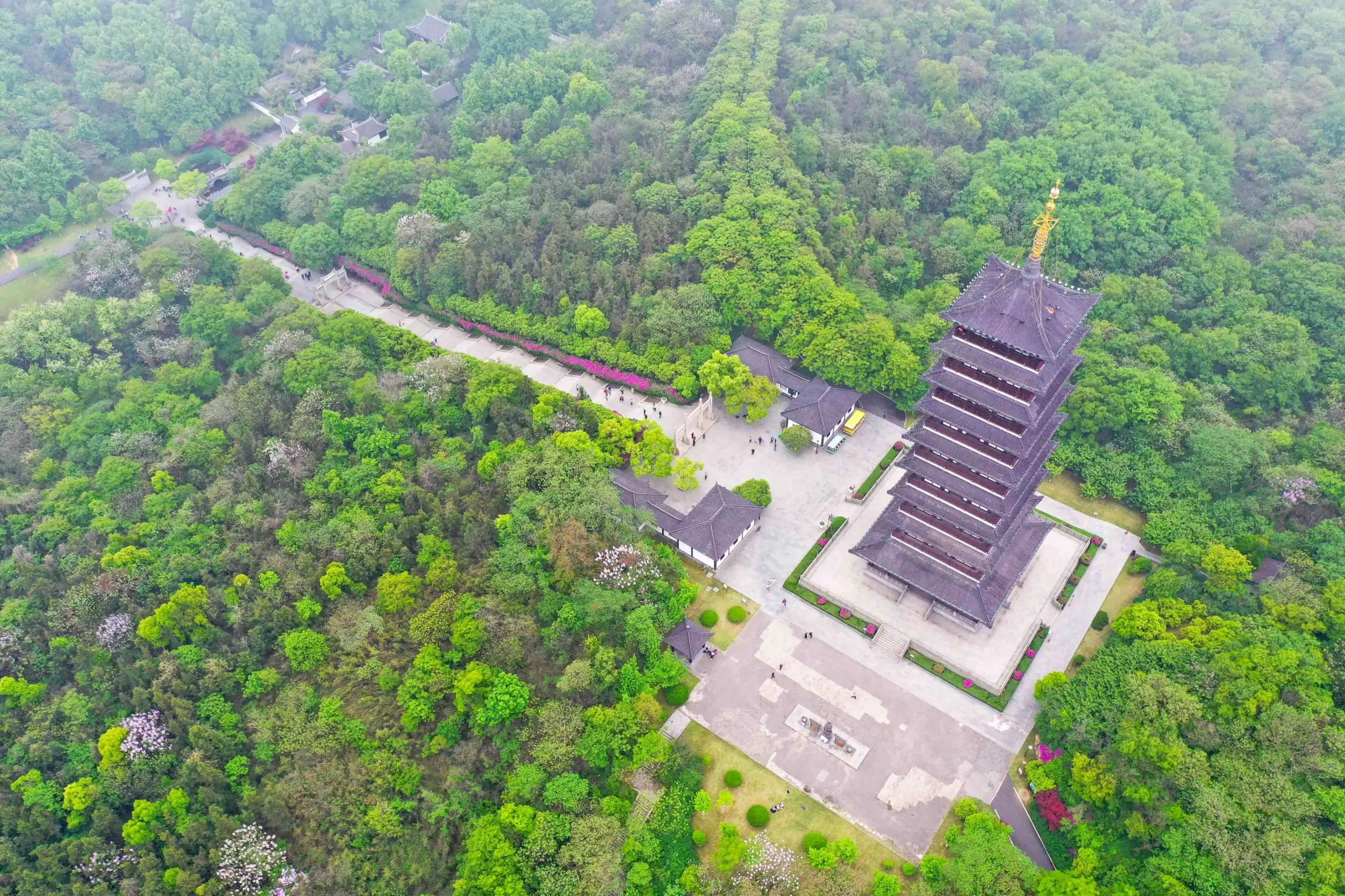 宜兴龙背山森林公园