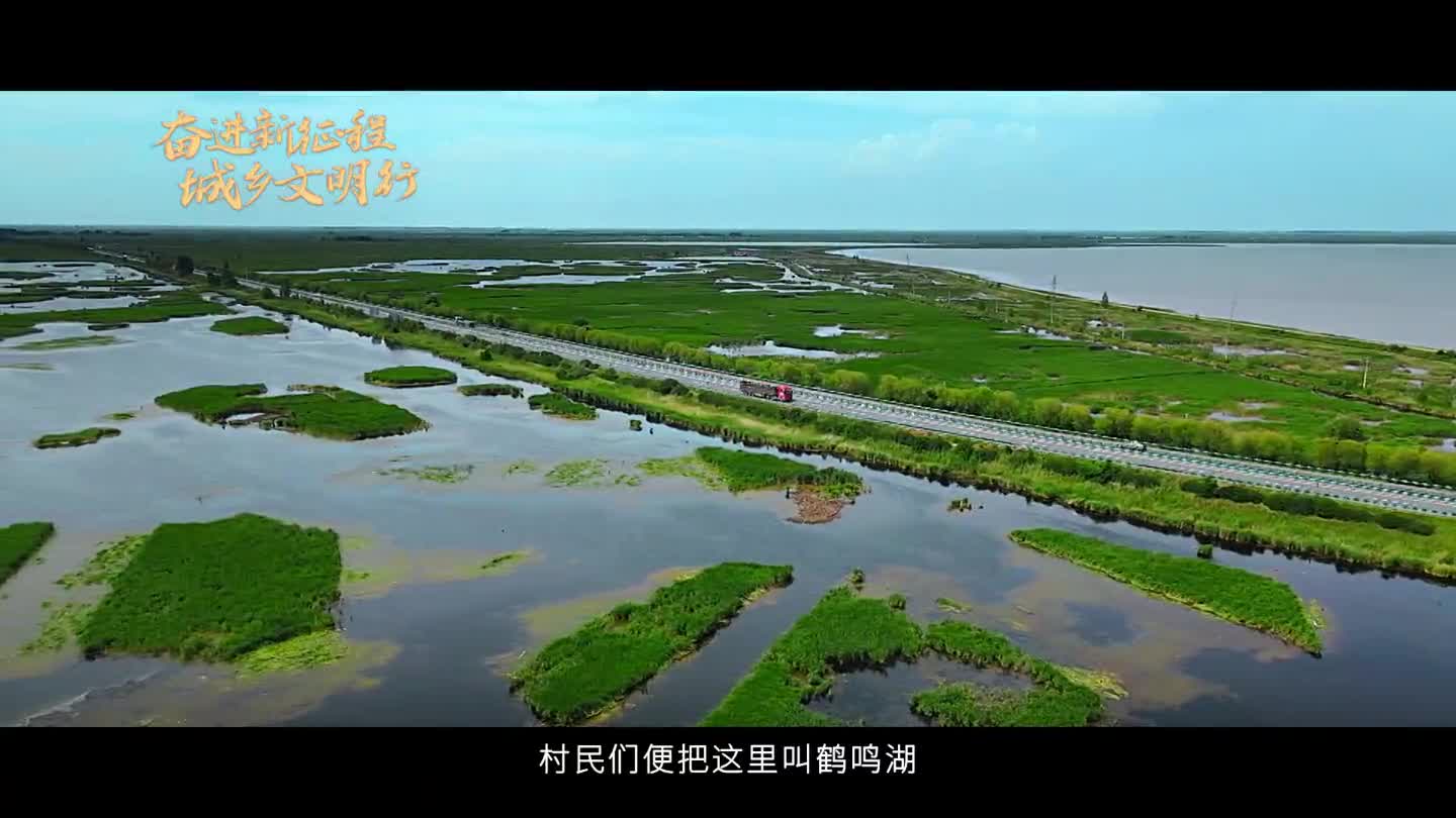 黑龙江林甸高端网站建设_(大庆市林甸县龙江网络电话)