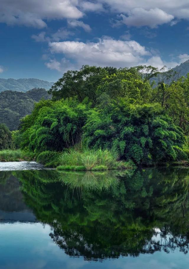 "寻找江西最美森林"摄影作品投票(第五批)