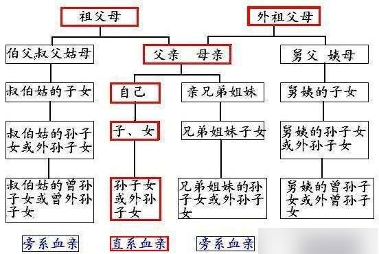 三代以内旁系血亲范围