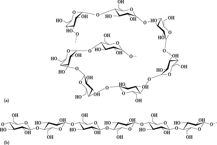 低聚异麦芽糖的特性与健康功能全面解析