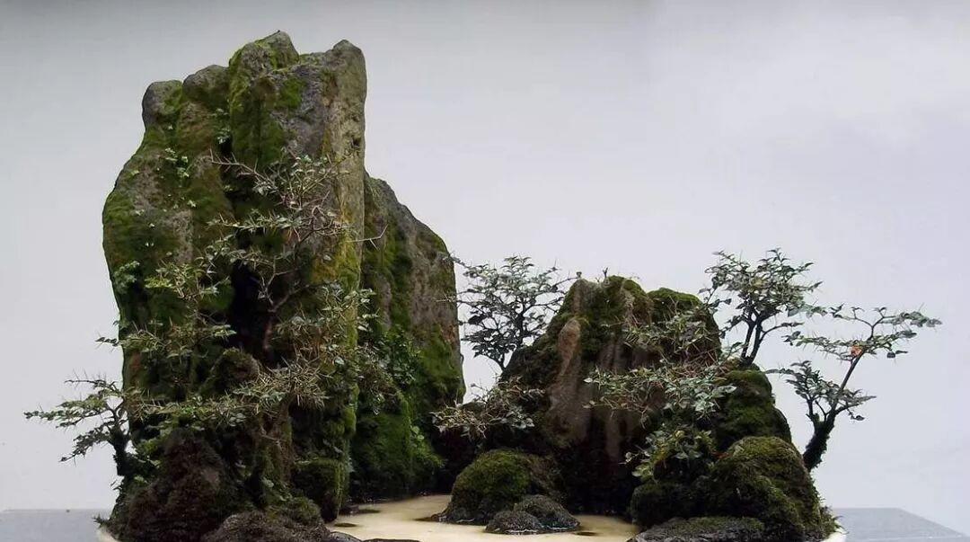 假山盆景造型图片