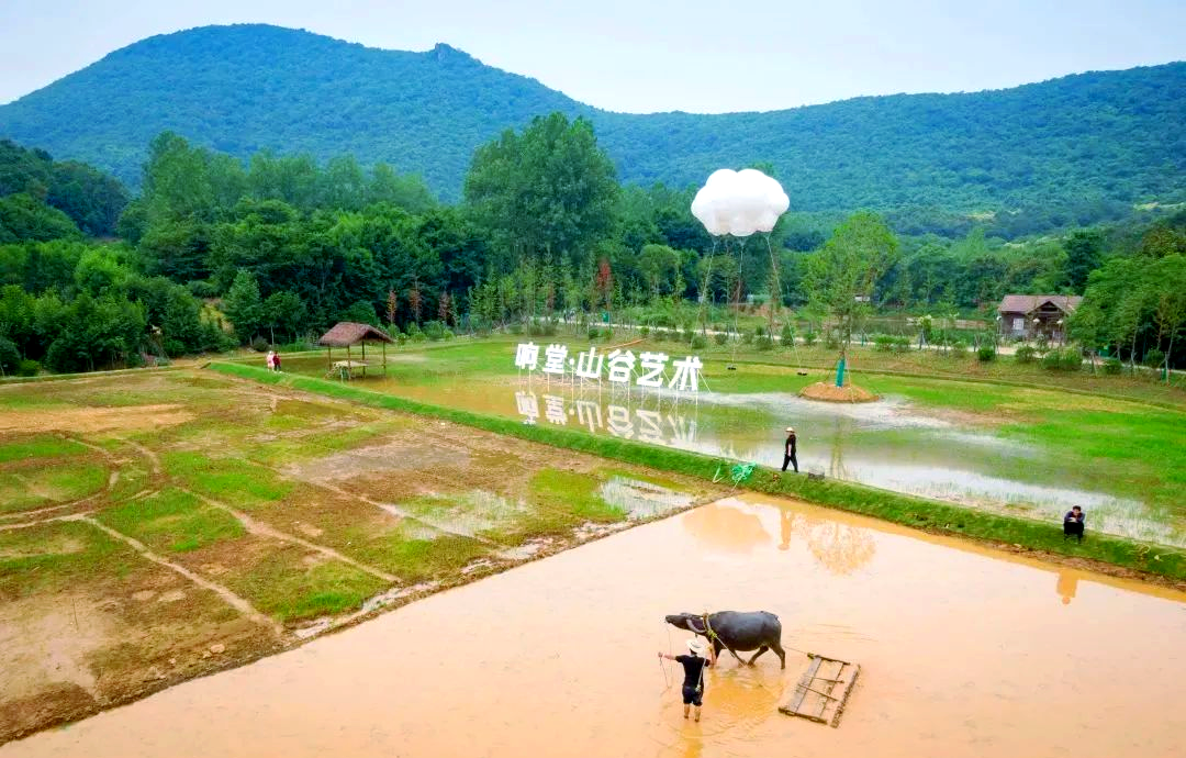 江苏特色田园乡村:响堂村的四季美景与文化体验