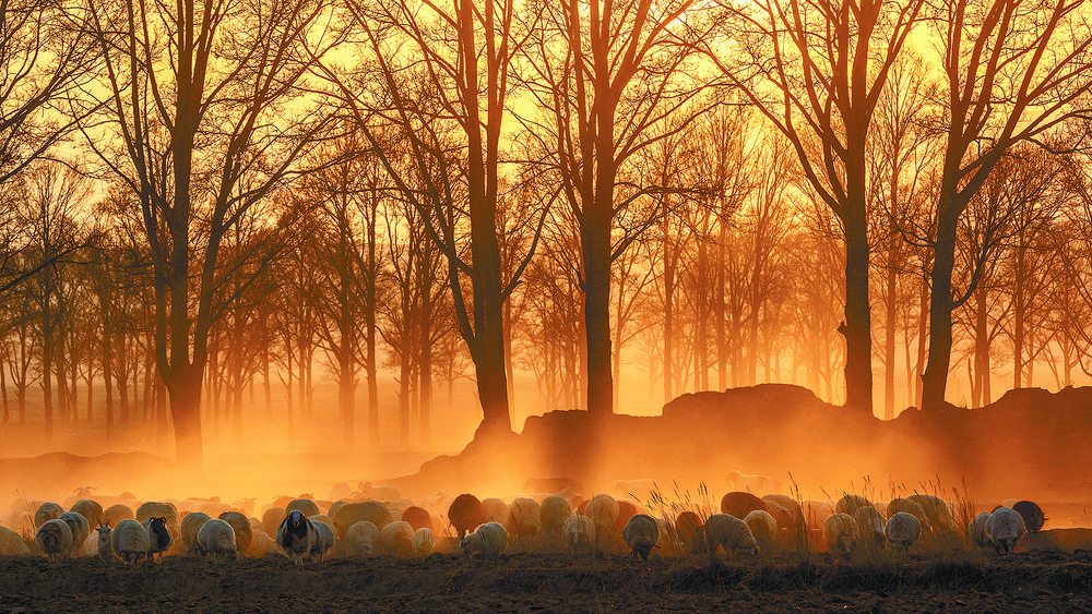 江河壮阔万物秀  绿水青山美共和