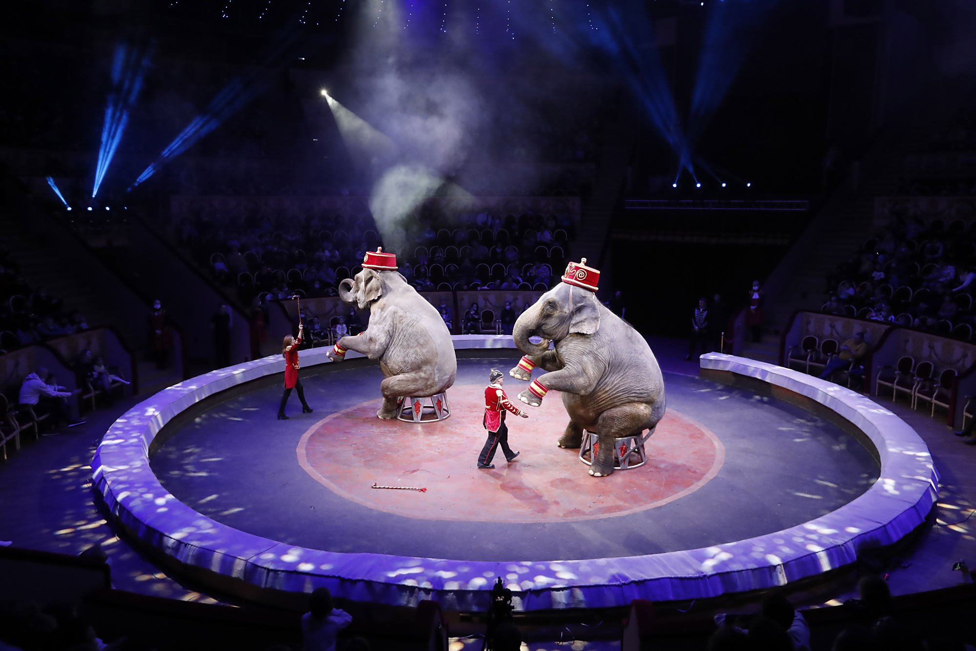 (6)意大利托尼马戏团在圣彼得堡演出