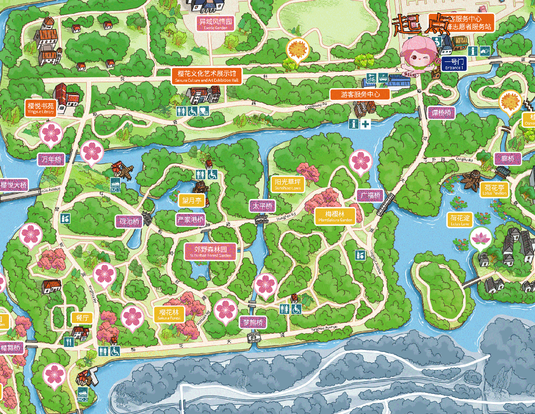 宝山顾村公园邀你共赏荷花