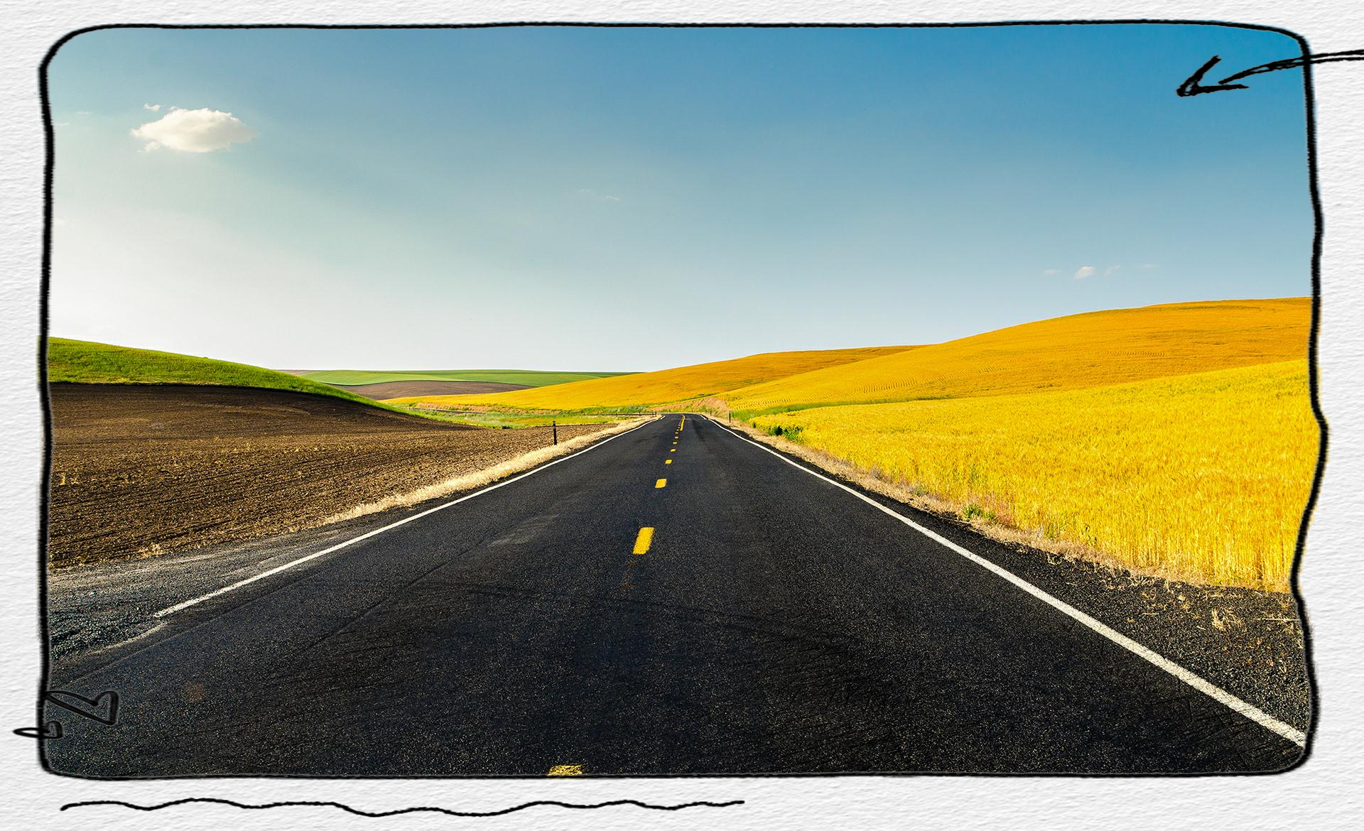 磷脂视频素材网站大全_磷脂视频素材网站大全最新