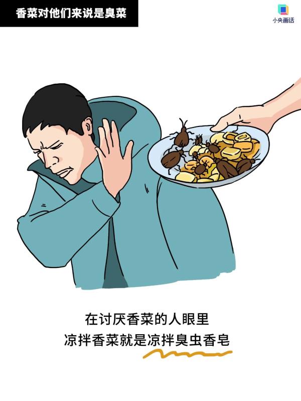 拒绝香菜表情包图片