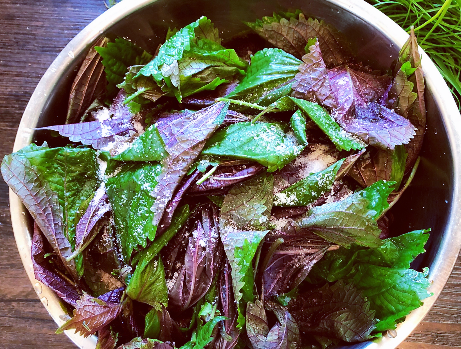 凉拌紫苏叶,别直接下锅焯水,多加1个步骤,紫苏叶鲜嫩更好吃