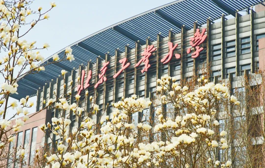盎然这是北工大的"花样年华"萌芽绽放,百花盛开花有约,春不误花开校园