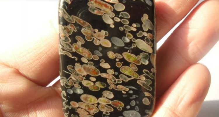 梅花玉真假区别