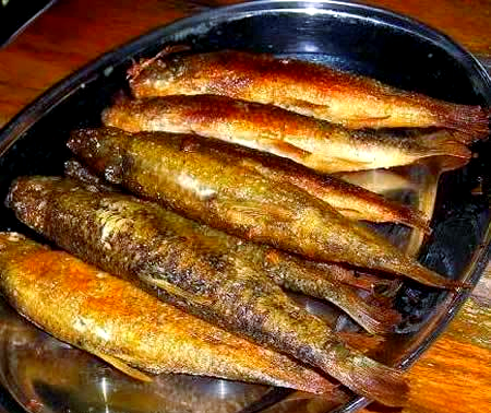 巴马油鱼:感受独特美味,品味长寿河珍馐