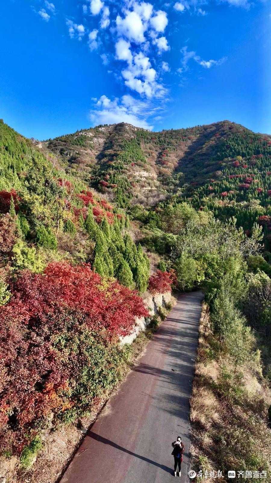 航拍济南彩石镇捎近村的红叶,漫山遍野格外耀眼
