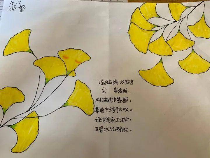 语文,科学,美术合体"榨干"校园银杏,福泰小学探索教学项目化