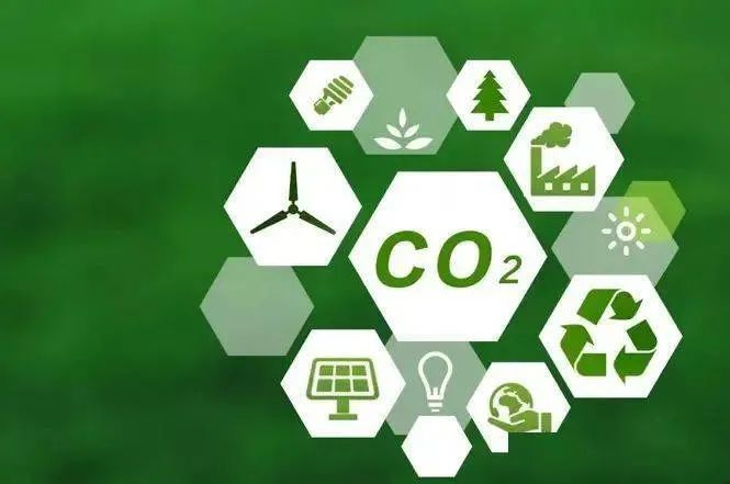 「碳排放」胡蓉:海南与香港合作助力国际碳排放权交易中心发展