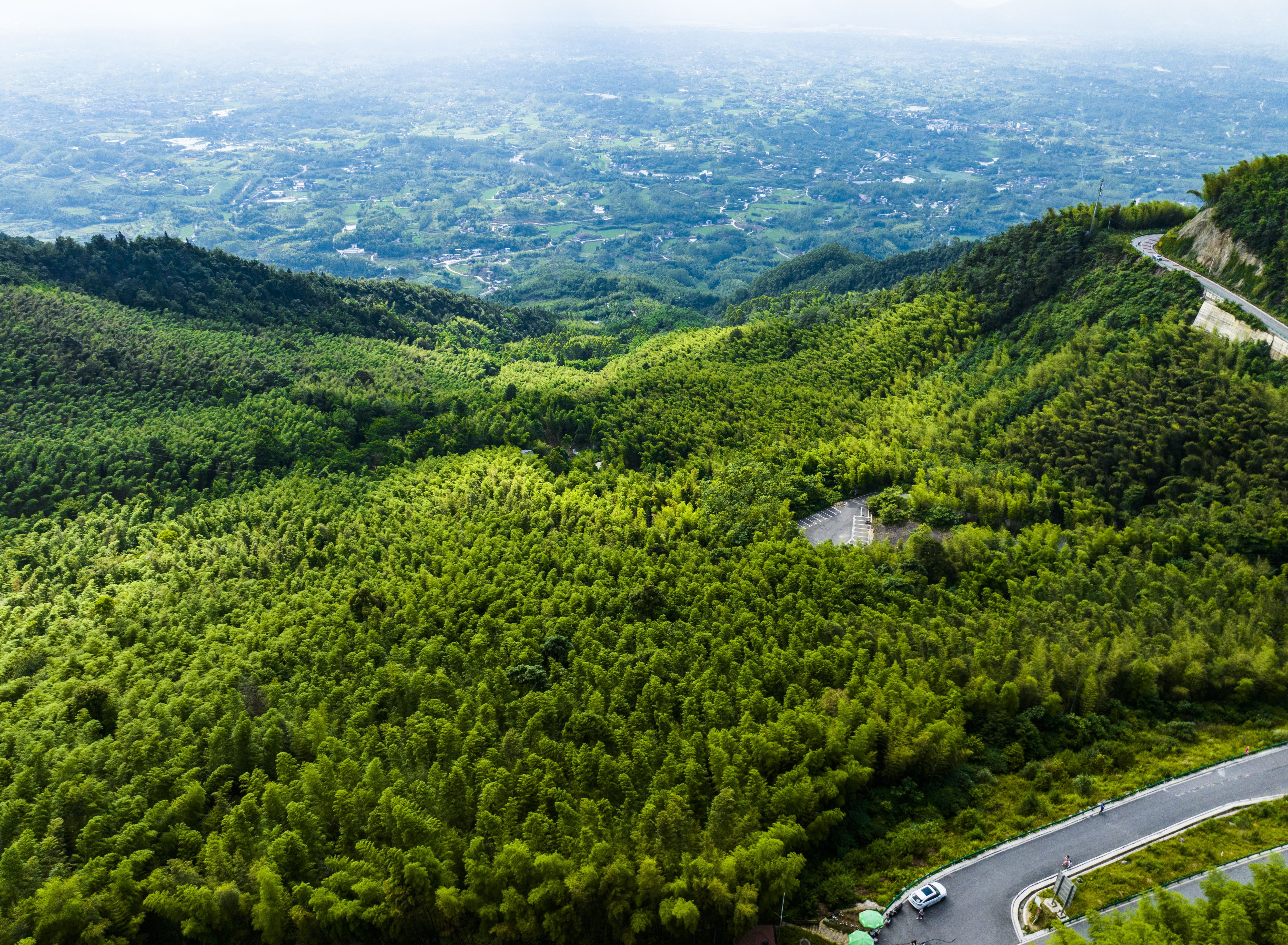 茶山竹海景区图片