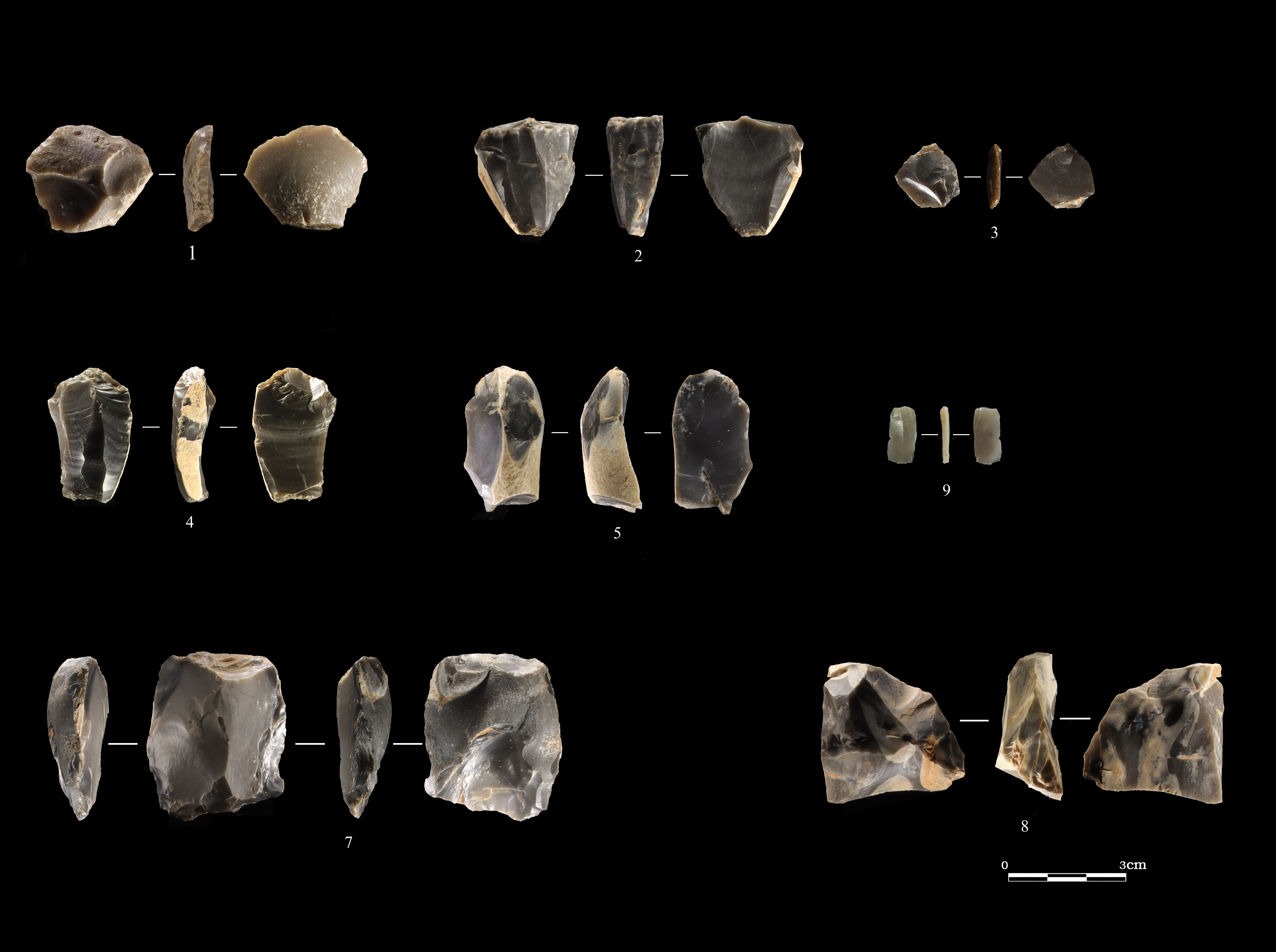 天津首次发现旧,新石器时代过渡遗存