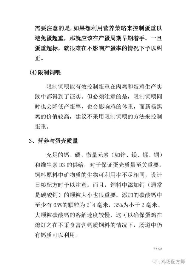 新杨黑蛋鸡饲养管理手册