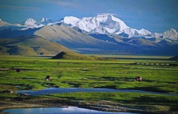 中国四大高原特征及地理环境概述