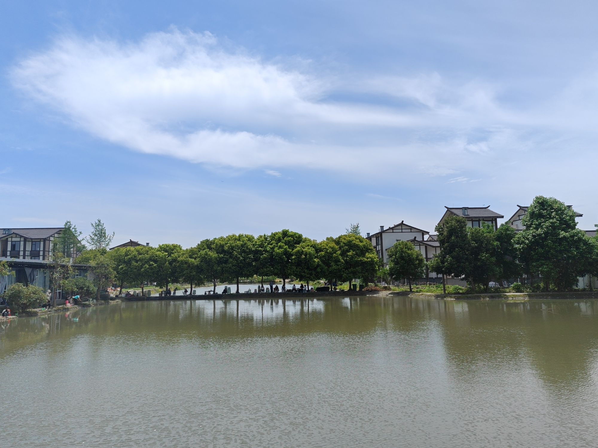 双流黄水:一颗樱桃"结"出千万大产业链