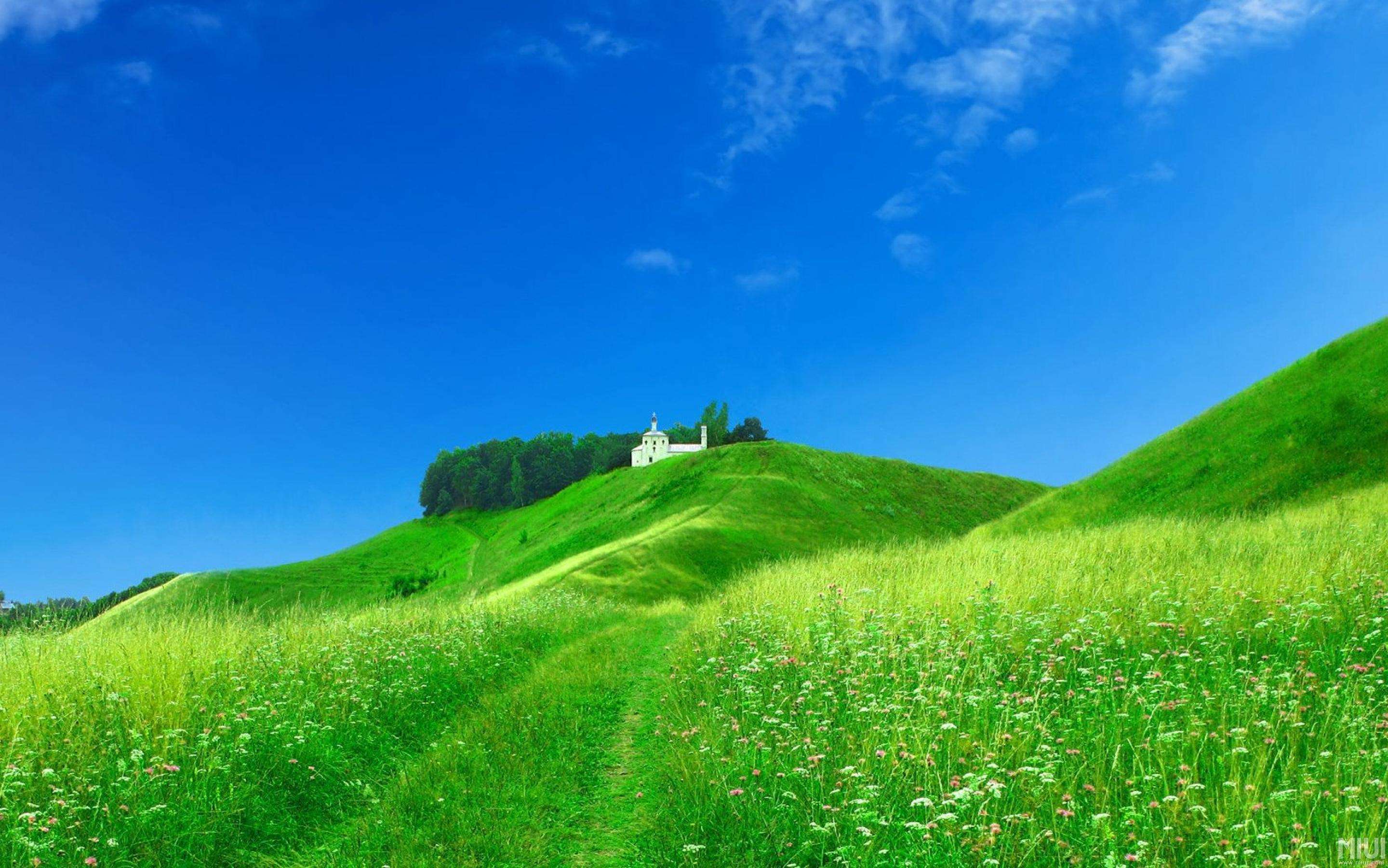 五十 吾得执而杀之,孰敢?