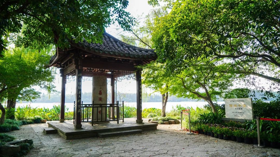 苏东坡文化公园精彩亮相!苏堤上的这些变化,你注意到了吗?