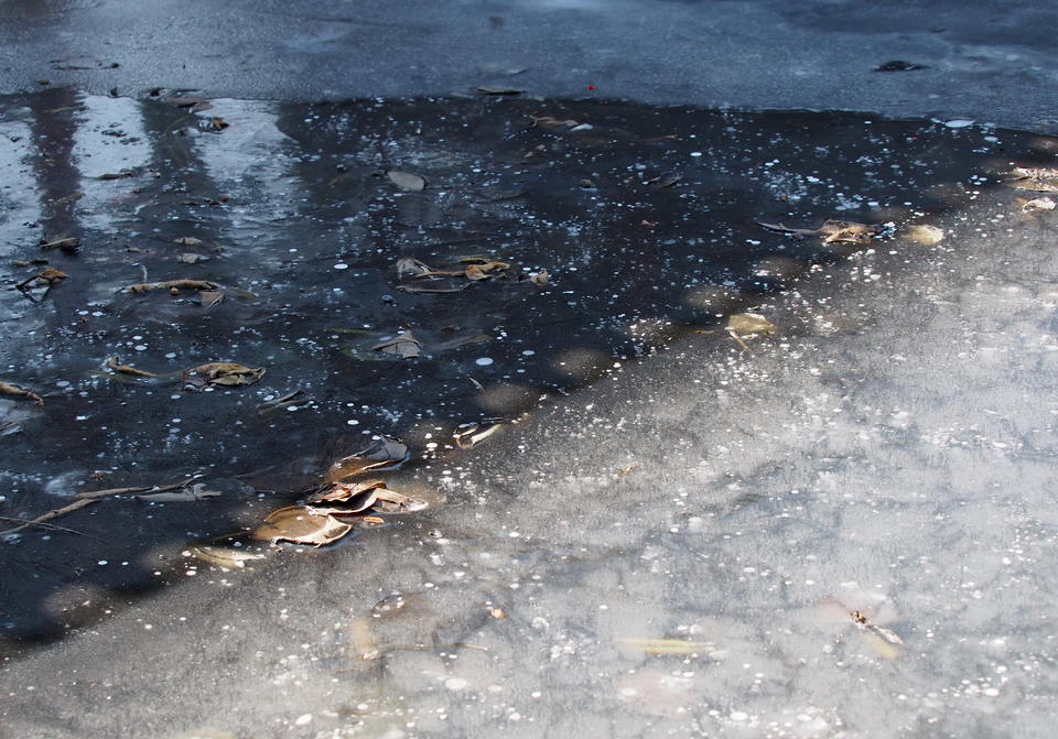 深度冰冻三四天,济南大明湖岸边出现较大面积冰封