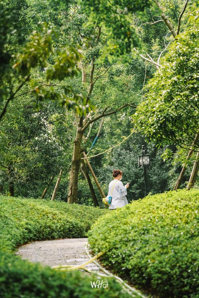 抓住夏天的尾巴,这些散步地点至少去一次