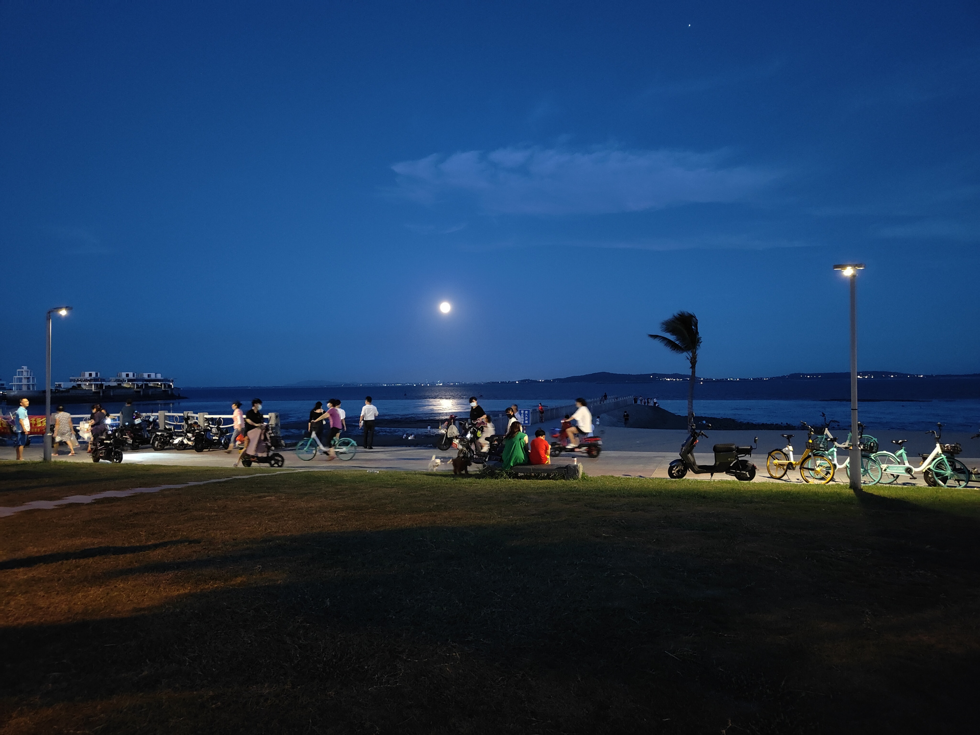 夜幕下的厦门海边,宁静惬意