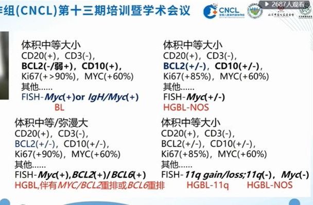 高子芬教授:从who与icc分类更新看儿童淋巴瘤类型变化