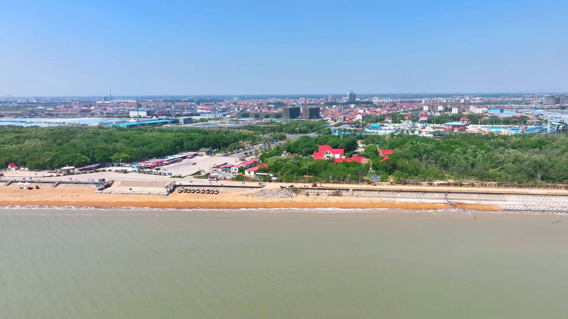 赣榆区千亩槐花香飘海州湾畔