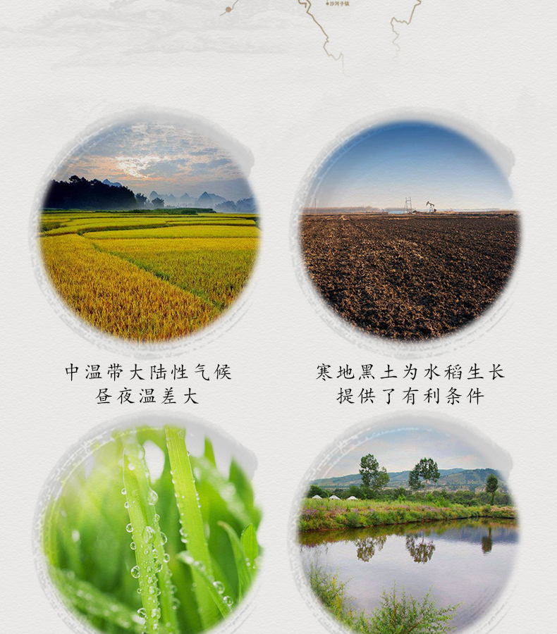 禾谷行:吃上有高品质的健康大米,中国大米需要大局观!