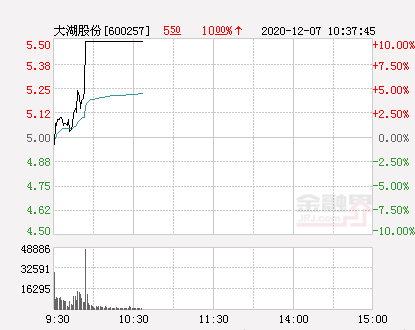 快讯:大湖股份涨停 报于55元