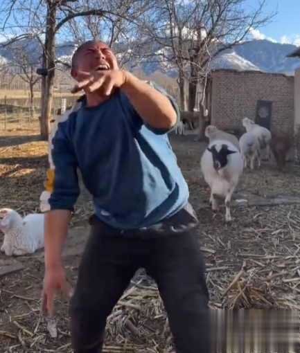 男子镜头前嗨舞被羊顶翻是怎么回事 羊为什么会顶人