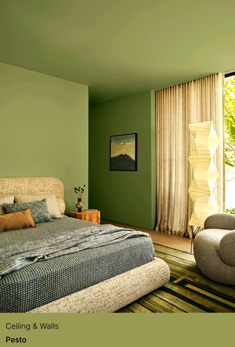 澳洲多乐士2025年色彩趋势,多种搭配色盘任你选!