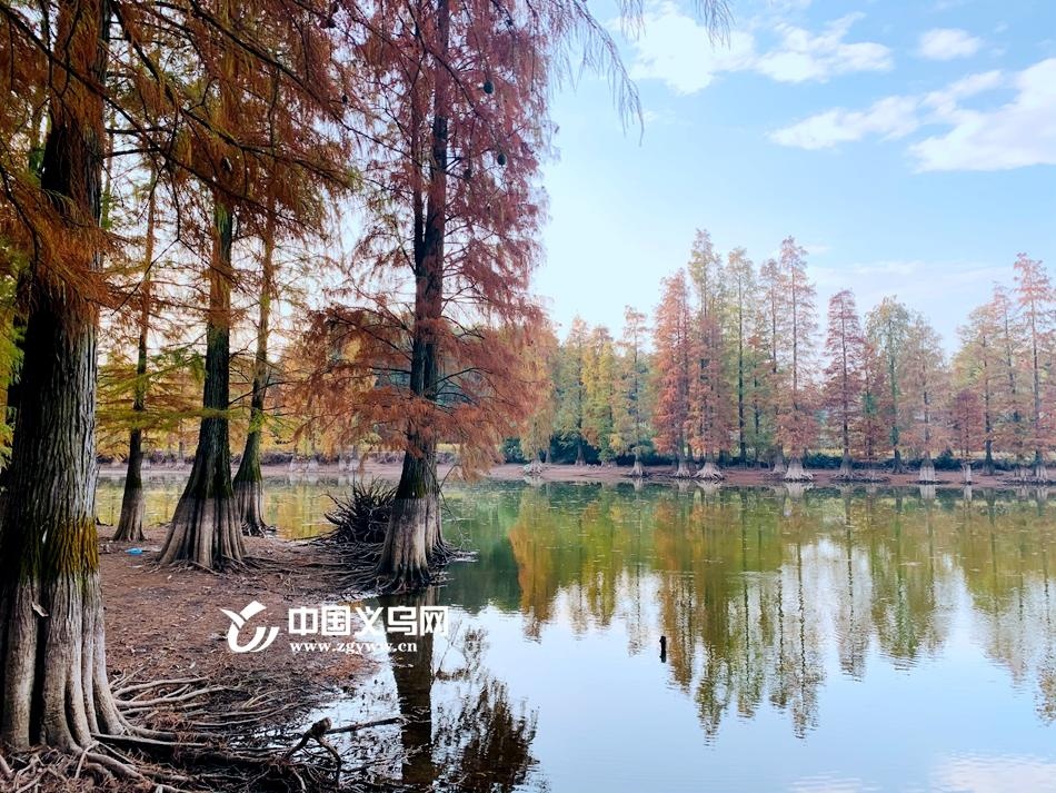 义乌赤岸风景区图片