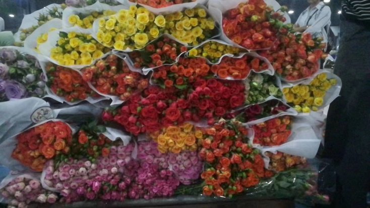 云南昆明市斗南市场的鲜花