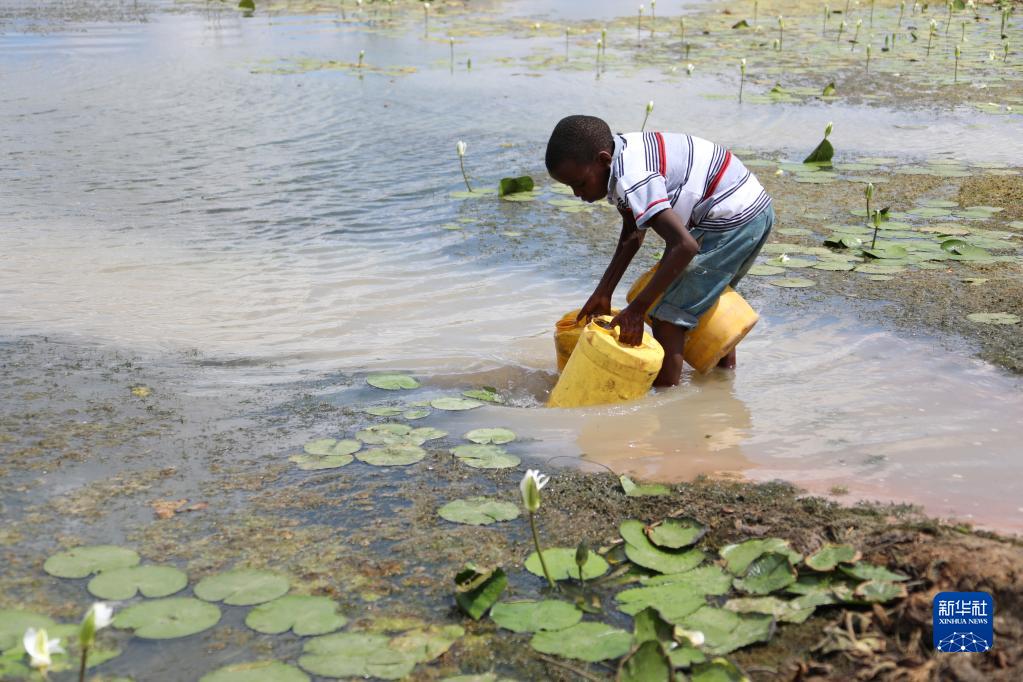 国际非洲儿童日:关注非洲之角干旱地区儿童