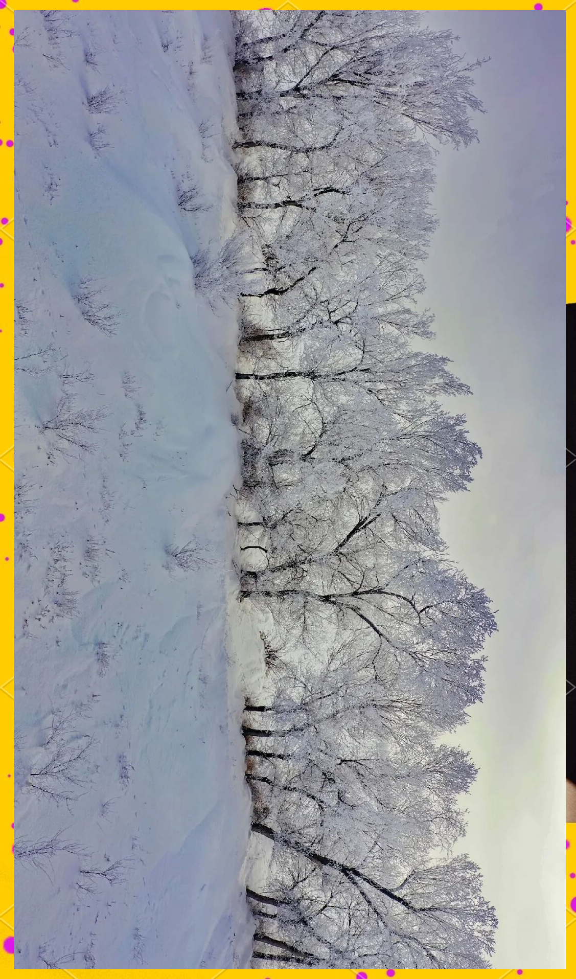 冬日西山农牧场:阳光,美景与田园生活