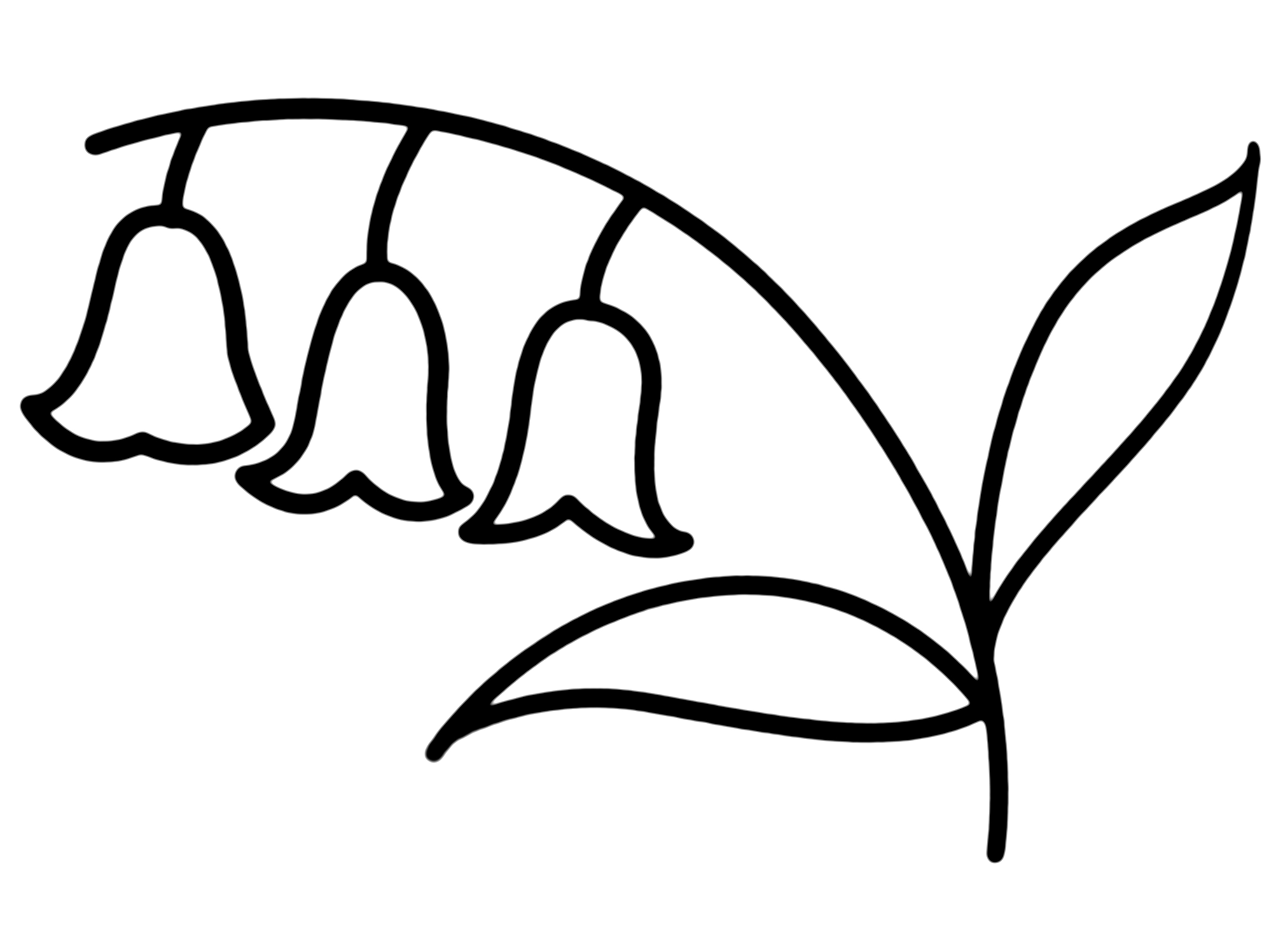 植物(铃兰)简笔画分享,可以右键复制打印出来