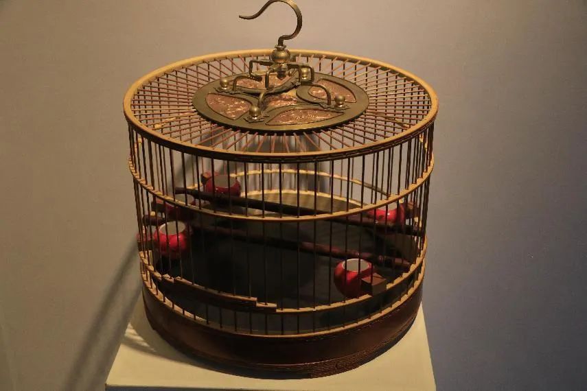 大欧鸟笼:传统技艺插上"数字"翅膀