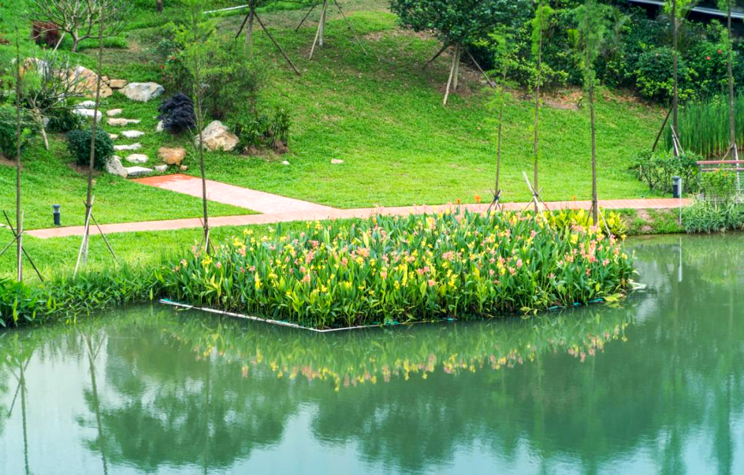 生态浮床:打造城市绿洲的理想选择